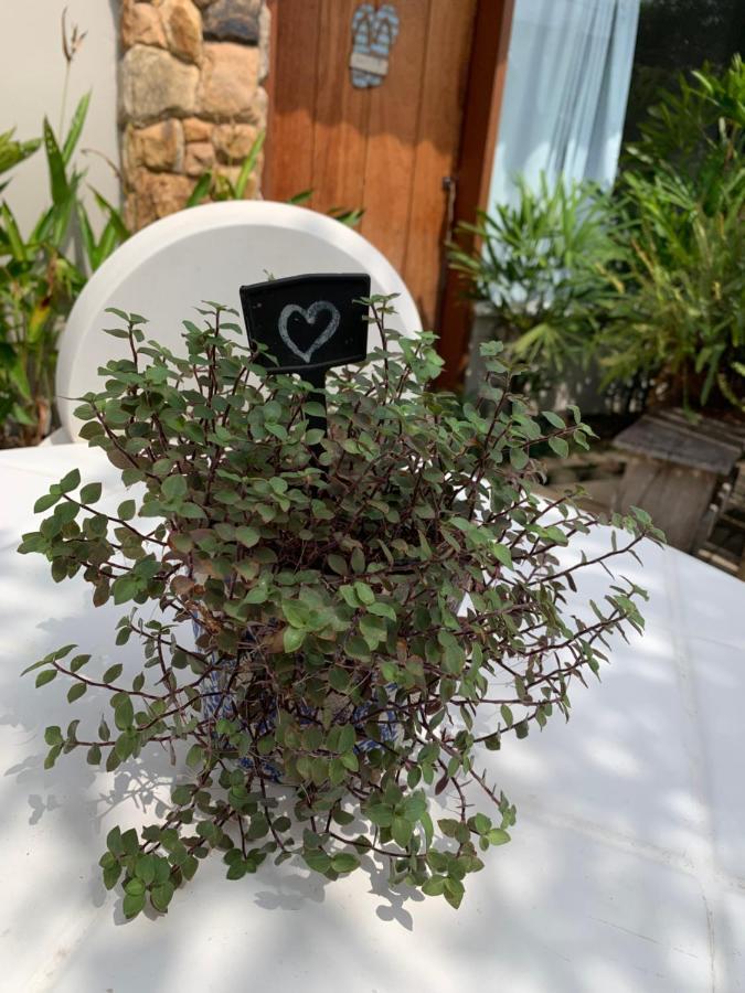 Almas Gemeas Com Cozinha Da Ribeira Angra dos Reis